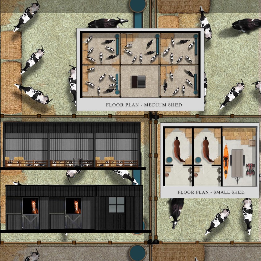 FREE Shed Road Map