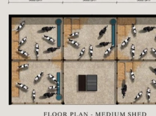 ShedSolutions